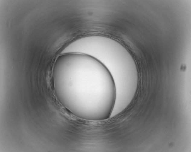 X0000091850696200709050936