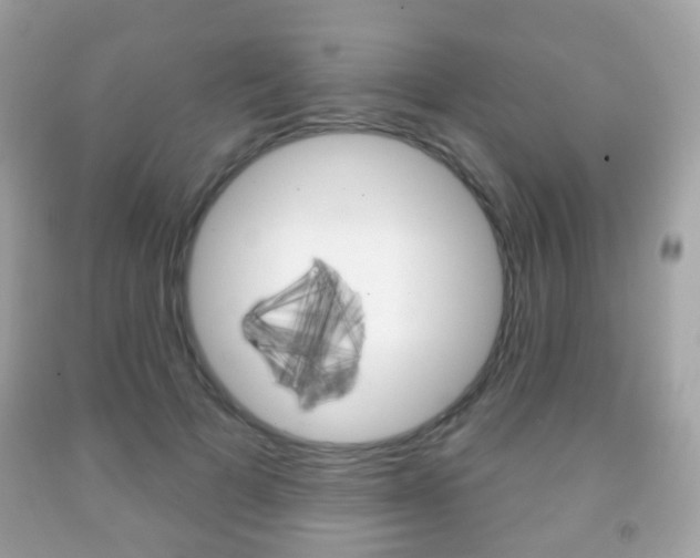 X0000091850697200709050936
