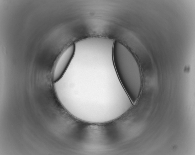 X0000091850699200709050936