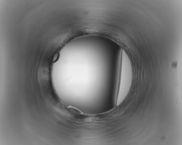 X0000091850700200709050936