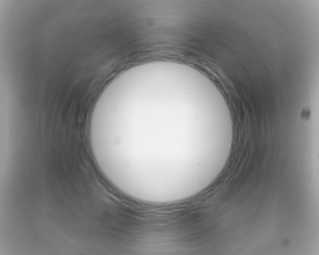 X0000091850701200709050936