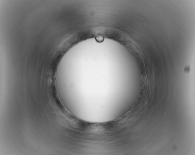X0000091850702200709050936
