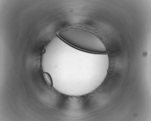 X0000091850703200709050936