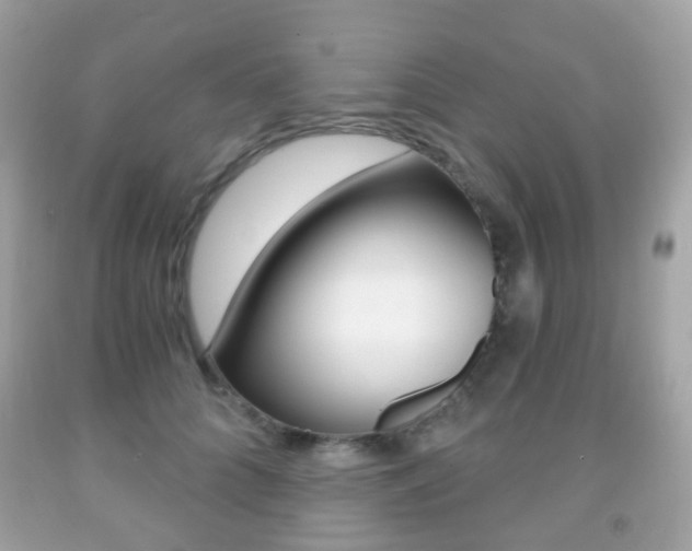 X0000091850704200709050936