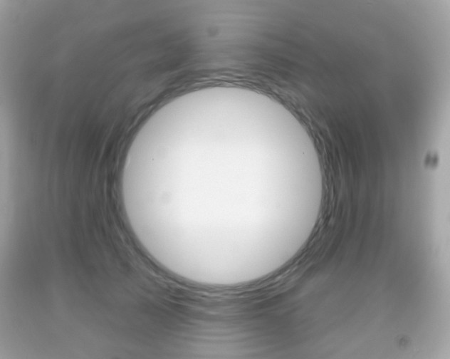 X0000091850705200709050936