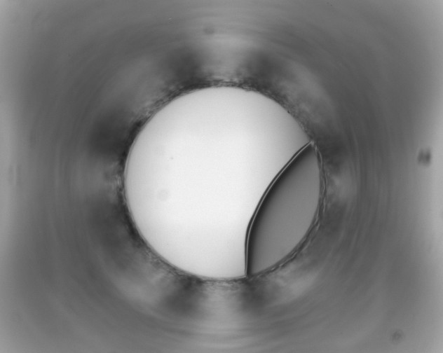 X0000091850707200709050936