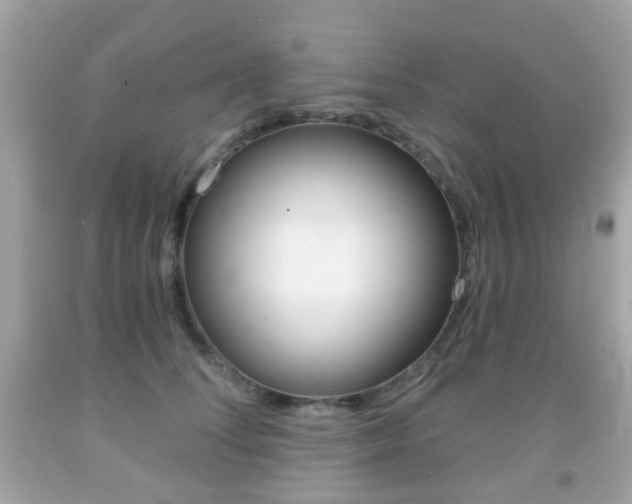 X0000091850708200709050936