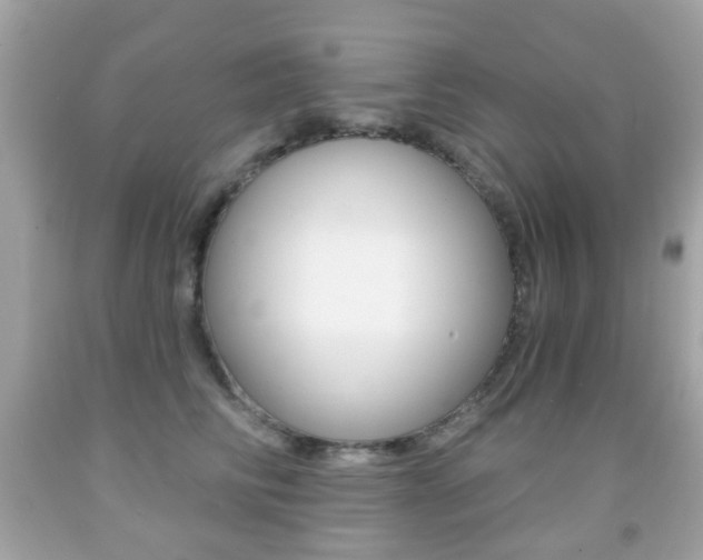 X0000091850710200709050935