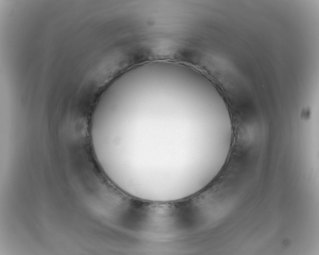X0000091850711200709050935