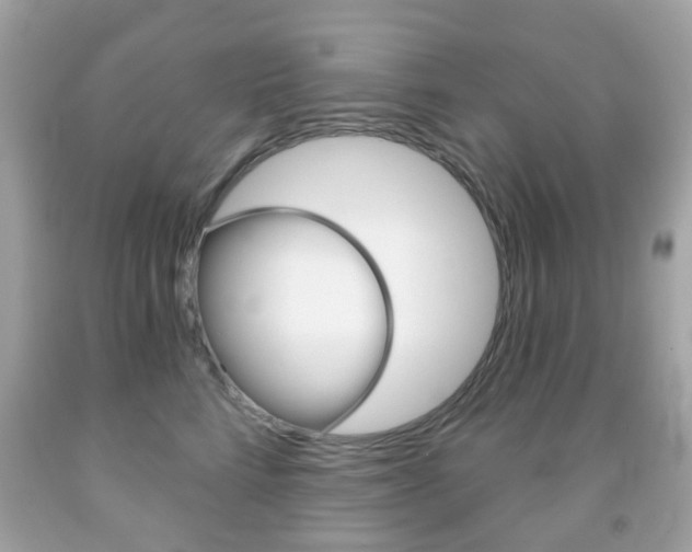 X0000091850712200709050935