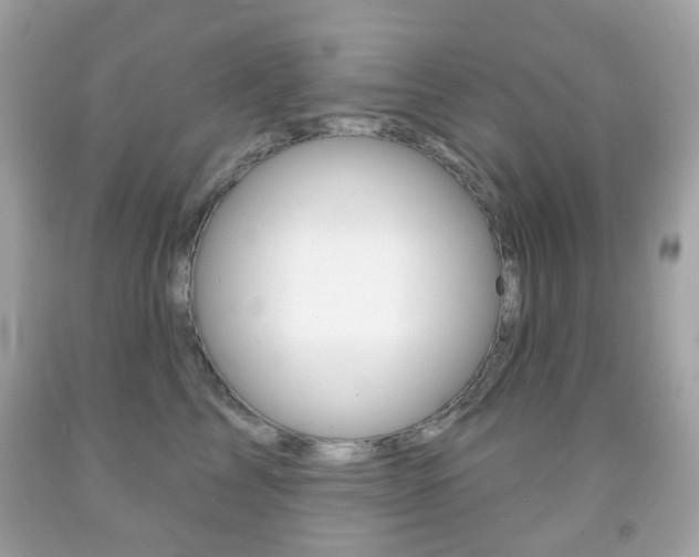 X0000091850713200709050935