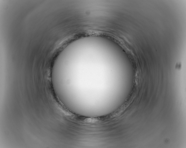 X0000091850714200709050935