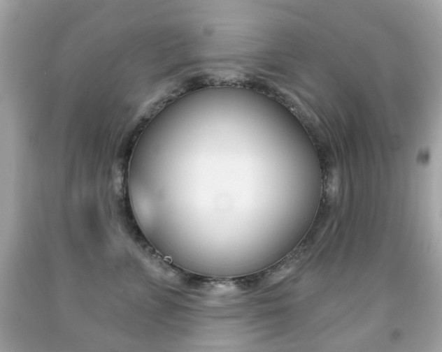 X0000091850715200709050935