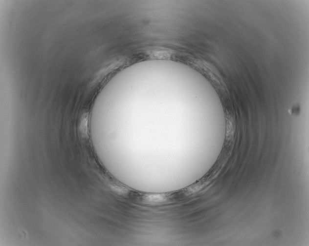 X0000091850717200709050935