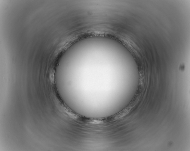 X0000091850718200709050935