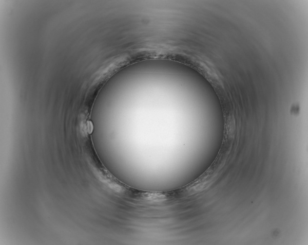 X0000091850719200709050935