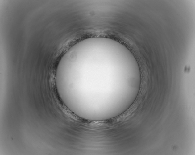 X0000091850720200709050935