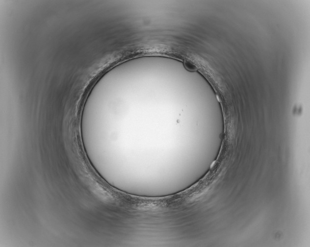 X0000091850721200709050935