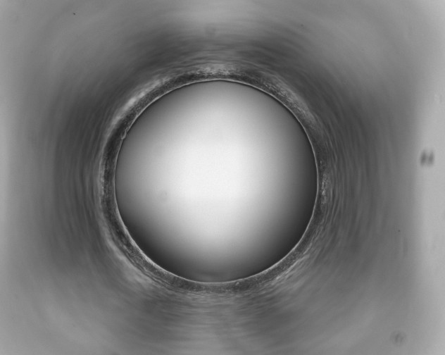 X0000091850722200709050935