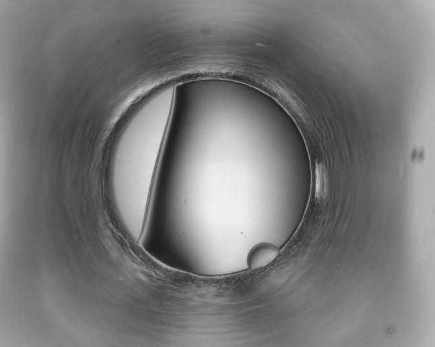 X0000091850723200709050935