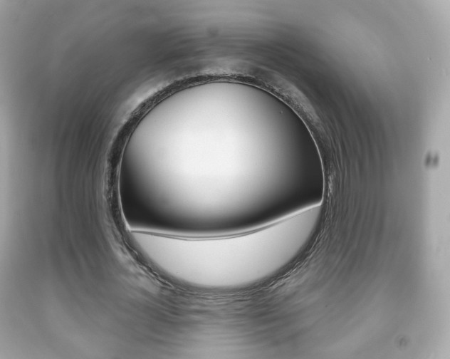 X0000091850724200709050935