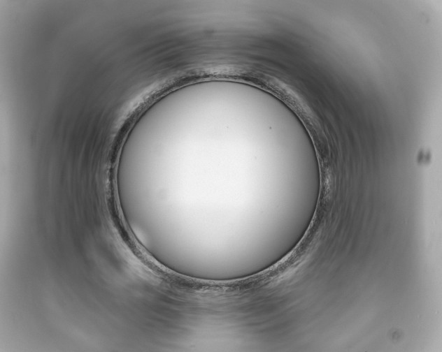 X0000091850725200709050935