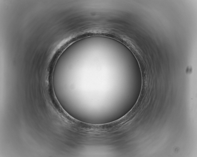 X0000091850727200709050935