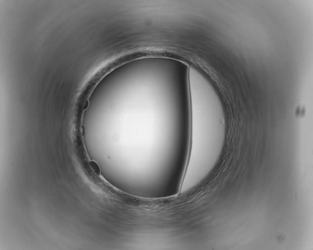 X0000091850728200709050935