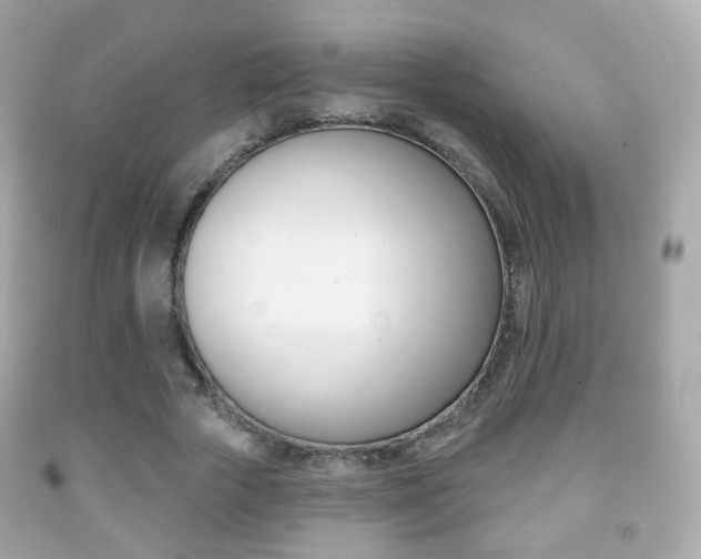 X0000091850729200709050935