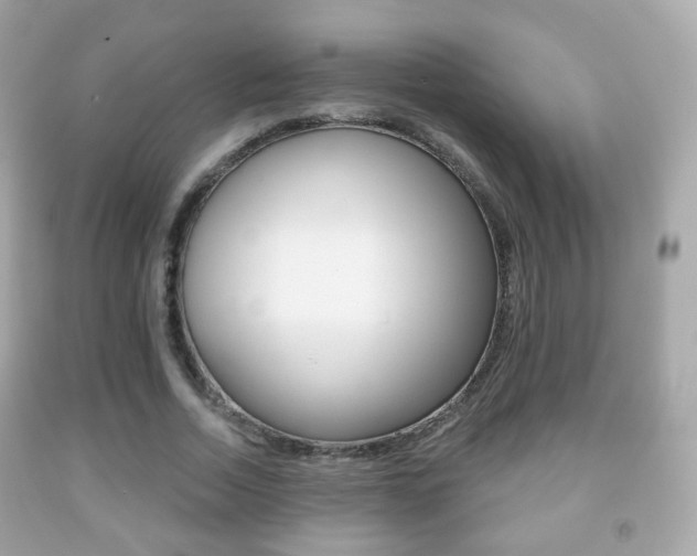 X0000091850730200709050935