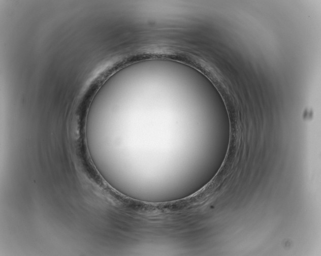 X0000091850731200709050935