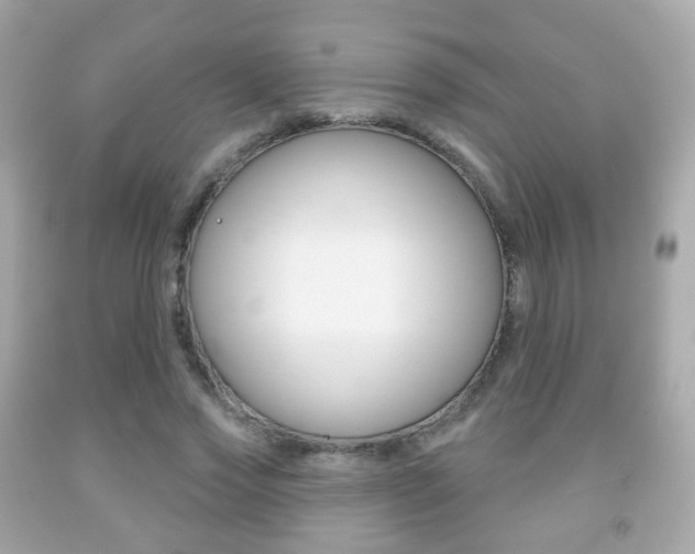 X0000091850733200709050935