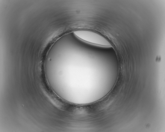 X0000091850735200709050935