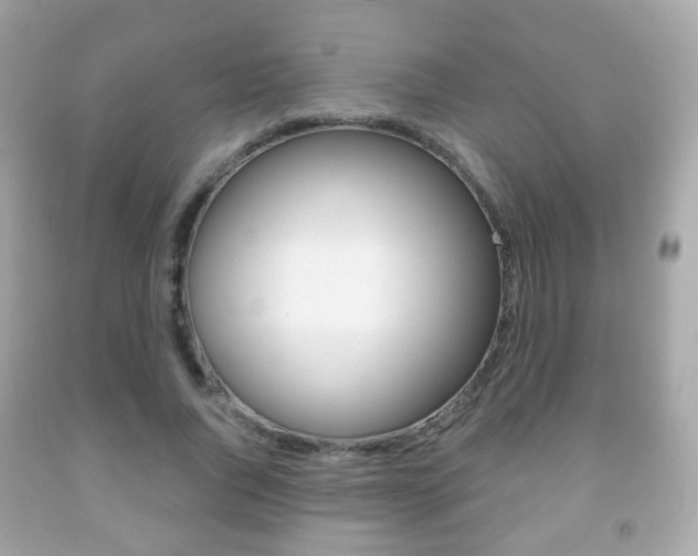 X0000091850736200709050935