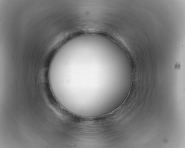 X0000091850738200709050935