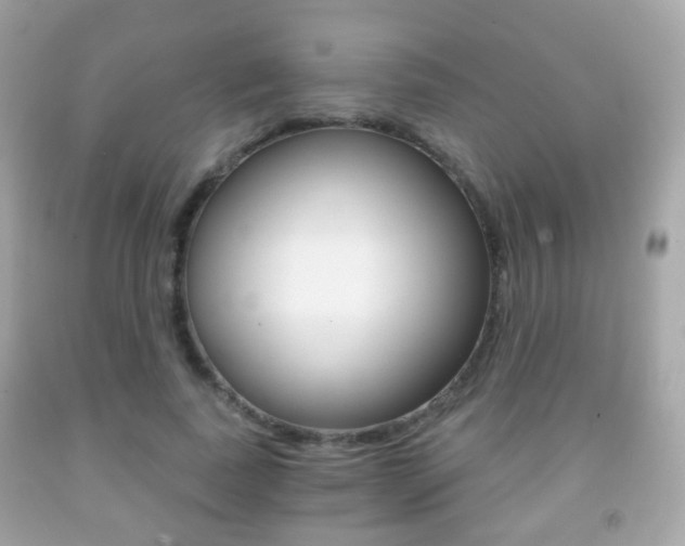 X0000091850739200709050935