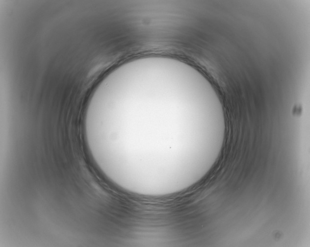X0000091850740200709050935