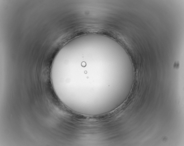 X0000091850741200709050935