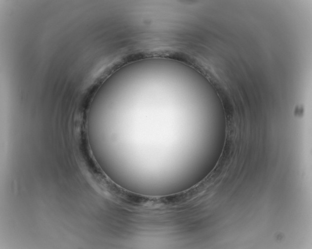 X0000091850742200709050935