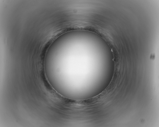 X0000091850743200709050935