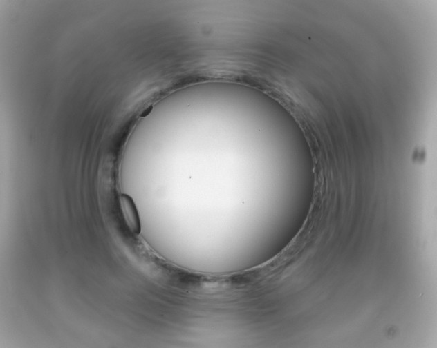 X0000091850744200709050935