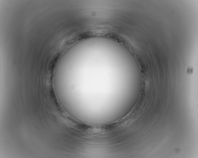X0000091850745200709050935
