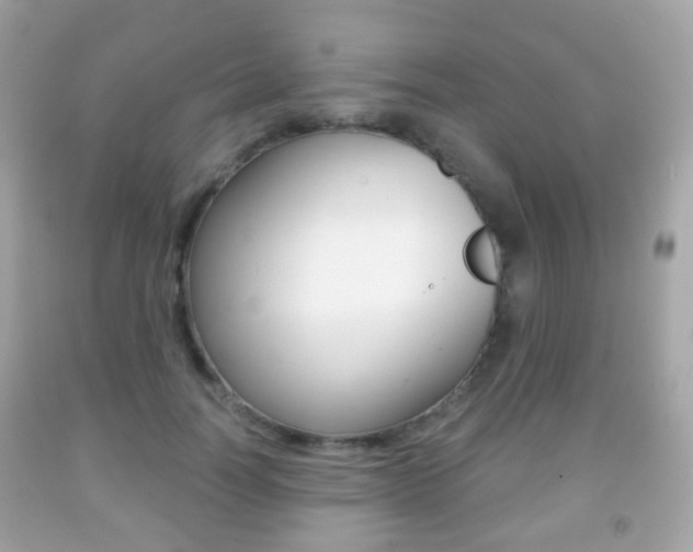 X0000091850746200709050935