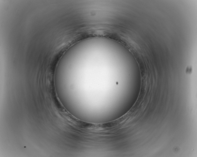 X0000091850747200709050935