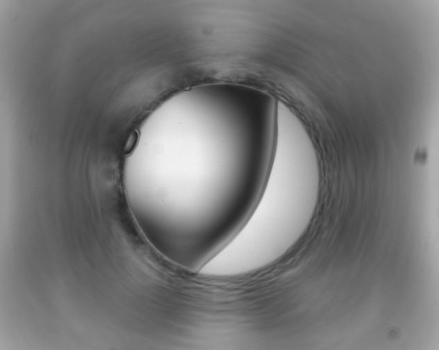 X0000091850748200709050935