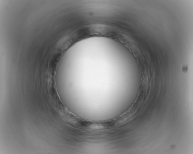 X0000091850749200709050935