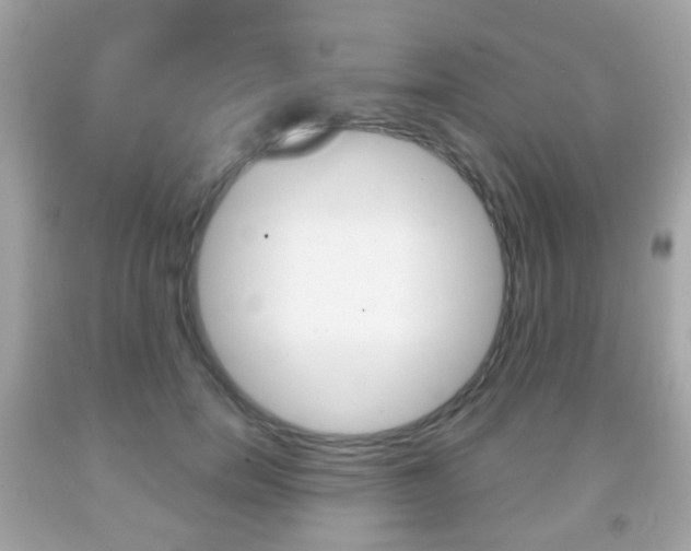 X0000091850750200709050935