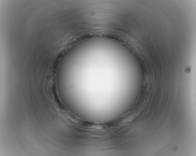 X0000091850751200709050935