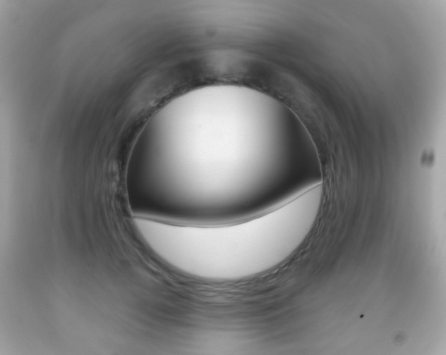 X0000091850752200709050935