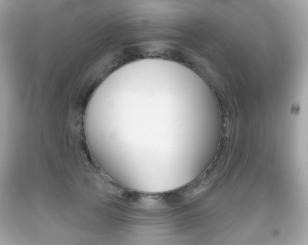 X0000091850753200709050935